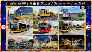 Dresden Bus and Tram impressions / June 2024 / Short Video Version /Bus- u. Straßenbahn-Impressionen