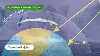 Глобальные экологические проблемы