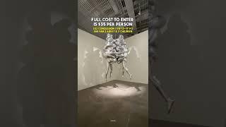 Art Gallery of NSW exhibition of Louise Bourgeois! #placesinsydney #art #artgalleryofnsw #sydneytodo