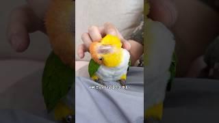 아빠가 소파에 앉으면…?