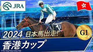 2024年 香港カップ（G1）| ロマンチックウォリアー |JRA公式