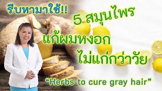 รีบหามาใช้ !! 5 สมุนไพรแก้ผมหงอก ไม่แก่กว่าวัย | Herbs to cure gray hair | พี่ปลา Healthy Fish