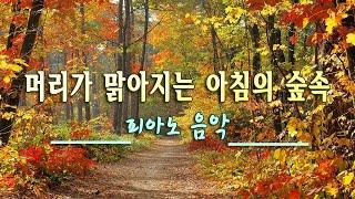 기분좋은 하루를 위한음악 하루10분 만병을 치료 해주는 힐링 명상 기치료 음악 및 영상 - 아침명상음악 - 아침음악 - 힐링음악 - 명상음악