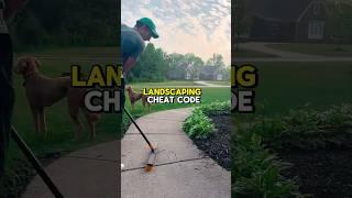 Dog Owners Are Missing This Genius Mulch Trick!