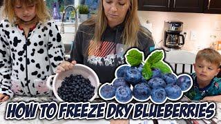 How to Freeze Dry Blueberries