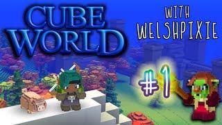 Surviving Cube World with WelshPixie | Episode 1 - The Basics