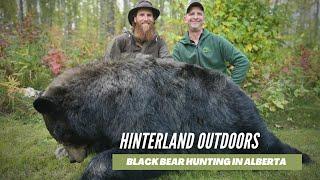 BLACK BEAR HUNTING - ALBERTA CANADA