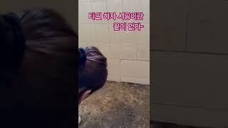 타일  하자시공 업체  #타일하자공사 #타일하자보수 #욕실누수영상 #타일불량 #누수탐지하자