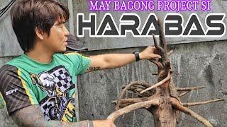 Ano Kaya ang Bagong Project ni Harabas? | Mrs. Harabas