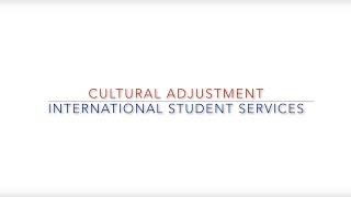 Cultural adjustment