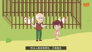 为什么人类不会下蛋? | 快速让孩子吸收 | 科学【优颂 YUSO】