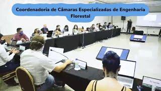 Coordenadoria de Câmaras Especializadas de Engenharia Florestal, definições sobre Projeto de Manejo