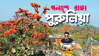 পুরুলিয়া | Offbeat Ajodhya Hills Tour Plan | Purulia | Alafiia Sitarampur Travellers & Bikers Camp