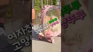 여자친구도 휘뚜루~ 고양이까지 냥뚜루!