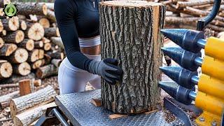 Fastest Automatic Firewood Processing Machine | Dangerous Big Chainsaw Cutting Tree machines #8