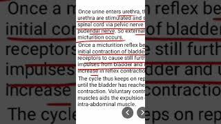 Micturition reflex