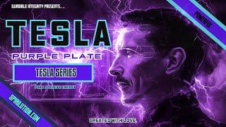 Tesla Purple Plate Universal Positive Energy Vibrations (Energetic Reset)