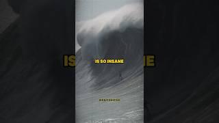 INSANE WIPEOUT!  Rogan Reacts to 100 foot wave #joerogan