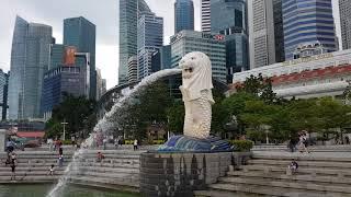 Singapore travel and Mermaid Lion 