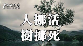 俗話說：人挪活，樹挪死！走不通時拐彎，想不通就放下【深夜讀書】