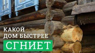 Какой деревянный дом сгниёт быстрее? Из сосны, кедра или лиственницы?