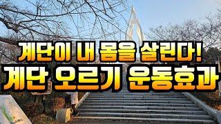 (생로병사) 계단 오르기 운동의 놀라운 효과  #계단오르기 #근력운동 #하체운동 https://www.youtube.com/watch?v=27zSEATjckA
