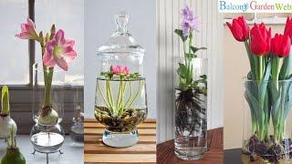 10 Water Flowers that Grow in Containers and Vases