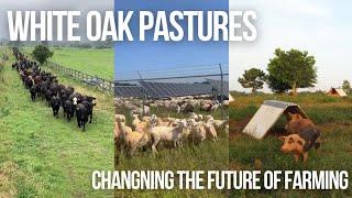 White Oak Pastures, Will Harris & Regenerative Agriculture - Changing Farming