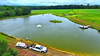 Adding 10,000 Fish to the 5 Acre Pond!