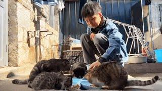 Xiao Le returned to his hometown  and the barber shop was still abandoned by cats and dogs. Fortuna