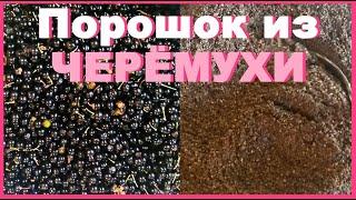 Черемуховая мука (порошок). Как приготовить молотую черемуху в домашних условиях