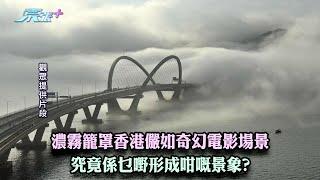 東張西望｜濃霧籠罩香港儼如奇幻電影場景 究竟係乜嘢形成咁嘅景象?｜濃霧｜梁菁琳