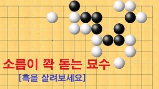 바둑 사활 - 소름이 쫙 돋는 묘수로 흑을 살려보세요