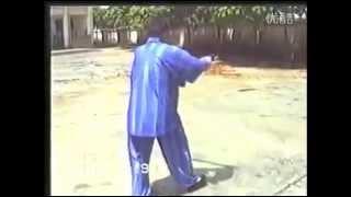 Yang Zhen Ji - Yang Tai Chi Saber Form