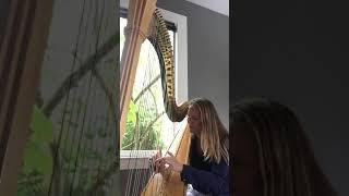 Thousand Years on harp