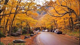 Scenic Autumn Drive through Vermont Smugglers Notch - American Fall Colors 4K