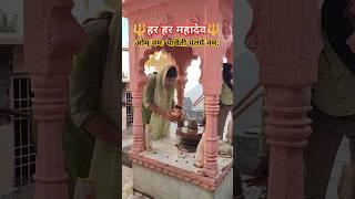 Mahadev status | Bholenath Status | #shiv #mahadev #prayagrajkumbh #trending  #mahakumbh2025 #shorts