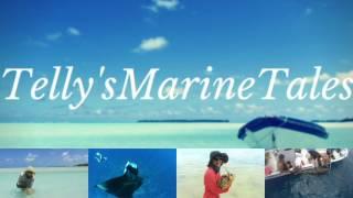 Introducing Telly'sMarineTales | Discover a bit about me as a marine biologist