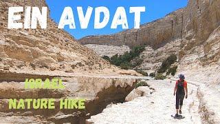 Ein Avdat | Israel nature hike