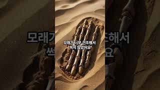 이집트 미라, 알고 보니 ‘자연 방부제’였다 #미라 #고대이집트 #유물 ##문화재 #미스테리 #숨겨진이야기 #세계사