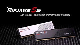 G.SKILL Ripjaws S5 High Performance, Low Profile DDR5 Memory