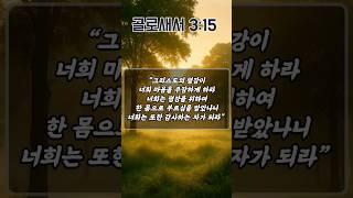 마음의 평안을 위한 아침 기도 | 골로새서 3장 15절 | 아침을 여는 기도