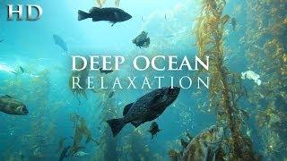 NEW 1 HR Underwater Video "Deep Ocean Relaxation" Nature Video 1080p