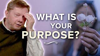 What Is the Main Purpose in Life? | Eckhart Tolle