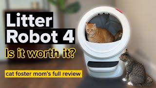 Is the Litter Robot 4 Worth the Hype? A Cat Foster Mom's Honest Review #catlife #catcare