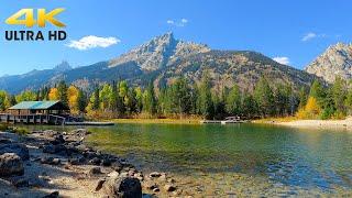 Grand Teton National Park Autumn Colors Scenic Drive 4K