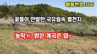 경북땅 계곡땅 주변 전체가 국유림에 둘러싸인 인적 드문 곳~