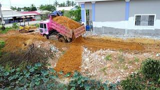 Starting A New Project Filling Flooded House!! Strong komatsu bulldozer pushing soil Around House.