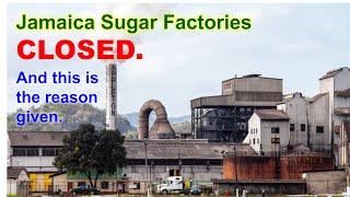 Reason For Jamaica Sugar Factories Closure