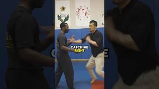 Xing Yi Internal Power is INCREDIBLY FAST! #kungfu #xingyi #martialarts  #shorts